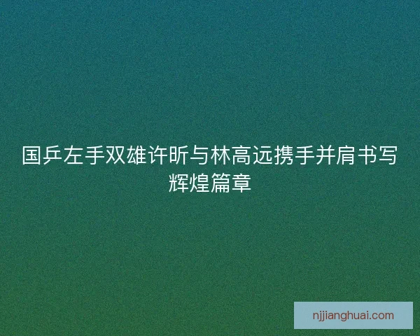 国乒左手双雄许昕与林高远携手并肩书写辉煌篇章